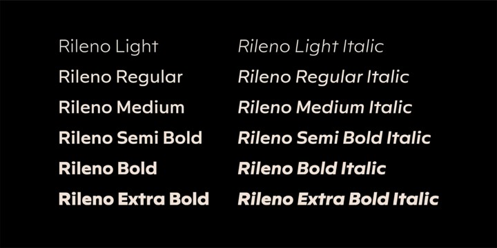Пример шрифта Rileno Sans Regular